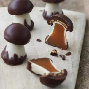 SHROOM CHOCOLATE